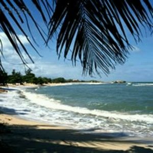 Meet your Posher, Frantz